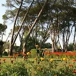 Tropikal Durrës