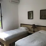 Tropikal