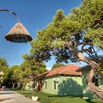 Tropikal Durrës