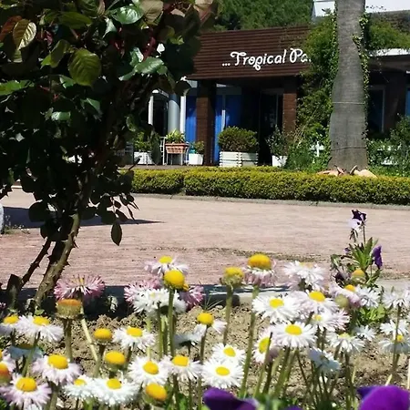 Hotel Tropikal 3*