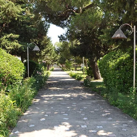 Tropikal