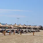 Tropikal